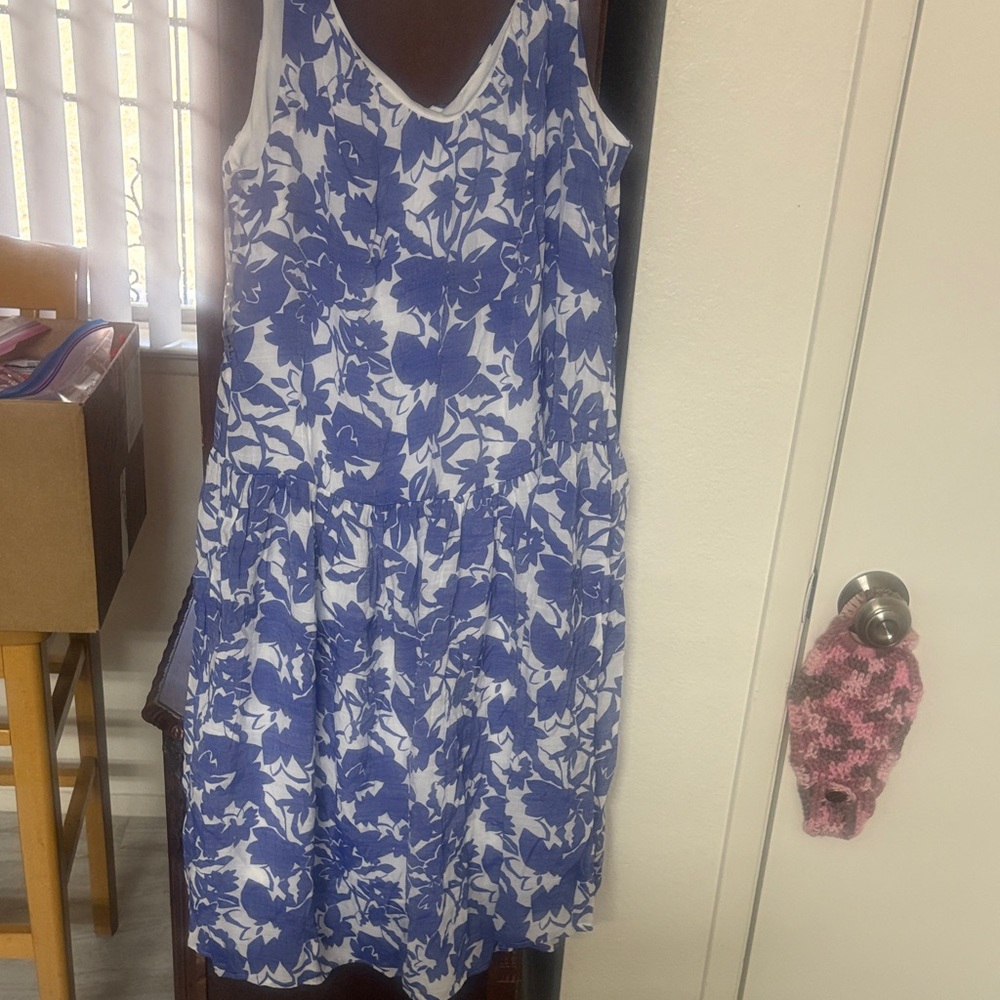 Robert Louis Blue and White Floral Dress